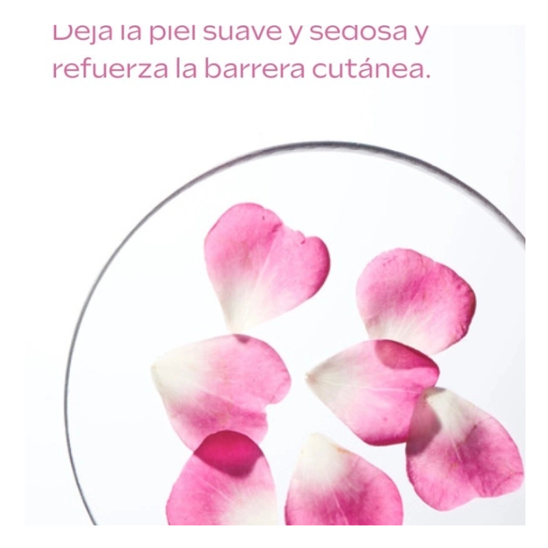 composicion-weleda-cofre-rutina-alisante-e-iluminadora